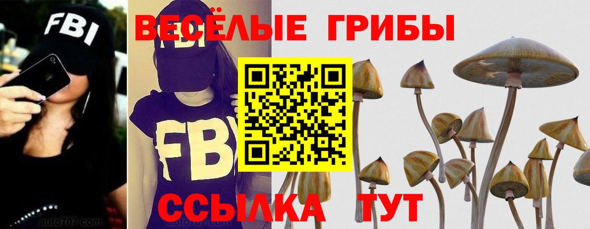 Псилоцибиновые грибы ЛСД  Вход с VPN  Кашира  Галлюциногенные грибы мицелий 
